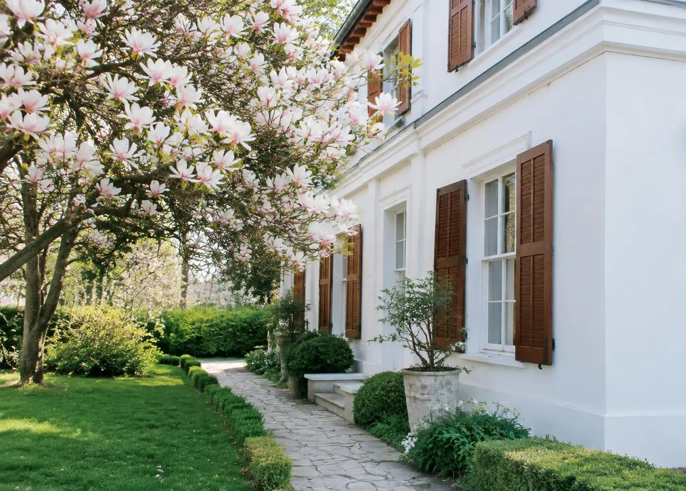 Çiçek açmış manolya ağacının yanındaki beyaz villa ve bahçesi